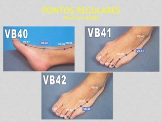 PONTOS REGULARES
VESÍCULA BILIAR
 