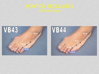 PONTOS REGULARES
VESÍCULA BILIAR
 