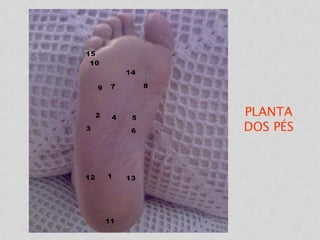 PLANTA
DOS PÉS
 