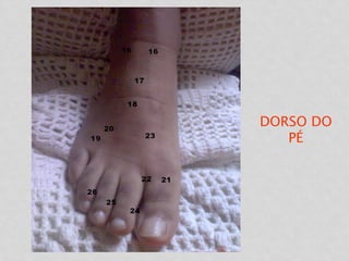 DORSO DO
PÉ
 