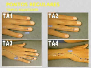 PONTOS REGULARES
TRIPLO AQUECEDOR
 