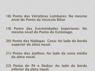 18) Ponto das Vértebras Lombares: No mesmo
nível do Ponto da Vesícula Biliar
19) Ponto das Extremidades Superiores: No
mesmo nível do Ponto do Estômago.
20) Ponto das Nádegas Coxa: Ao lado da borda
superior da aleta nasal.
21) Ponto dos Joelhos: Ao lado da zona média
da aleta nasal.
22) Ponto do Pé e Dedos: Ao lado da borda
inferior da aleta nasal.
 