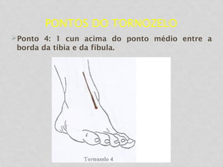 PONTOS DO TORNOZELO
Ponto 4: 1 cun acima do ponto médio entre a
borda da tíbia e da fíbula.
 