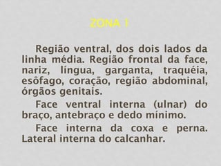 ZONA 1
Região ventral, dos dois lados da
linha média. Região frontal da face,
nariz, língua, garganta, traquéia,
esôfago, coração, região abdominal,
órgãos genitais.
Face ventral interna (ulnar) do
braço, antebraço e dedo mínimo.
Face interna da coxa e perna.
Lateral interna do calcanhar.
 