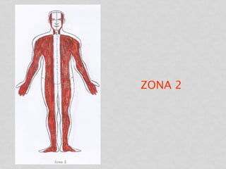 ZONA 2
 