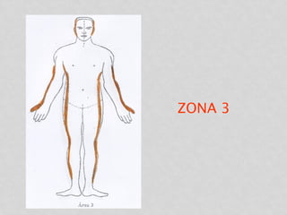 ZONA 3
 