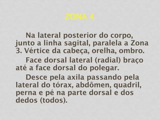ZONA 4
Na lateral posterior do corpo,
junto a linha sagital, paralela a Zona
3. Vértice da cabeça, orelha, ombro.
Face dorsal lateral (radial) braço
até a face dorsal do polegar.
Desce pela axila passando pela
lateral do tórax, abdômen, quadril,
perna e pé na parte dorsal e dos
dedos (todos).
 