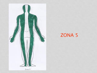 ZONA 5
 