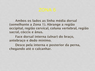 ZONA 6
Ambos os lados as linha média dorsal
(semelhante a Zona 1). Abrange a região
occipital, região cervical, coluna vertebral, região
sacral, cóccix e ânus.
Face dorsal interna (ulnar) do braço,
antebraço e dedo mínimo.
Desce pela interna e posterior da perna,
chegando até o calcanhar.
 
