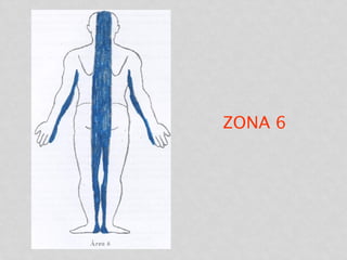 ZONA 6
 