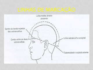 LINHAS DE MARCAÇÃO
 