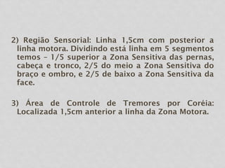 2) Região Sensorial: Linha 1,5cm com posterior a
linha motora. Dividindo está linha em 5 segmentos
temos – 1/5 superior a Zona Sensitiva das pernas,
cabeça e tronco, 2/5 do meio a Zona Sensitiva do
braço e ombro, e 2/5 de baixo a Zona Sensitiva da
face.
3) Área de Controle de Tremores por Coréia:
Localizada 1,5cm anterior a linha da Zona Motora.
 