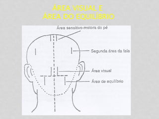 ÁREA VISUAL E
ÁREA DO EQUILÍBRIO
 