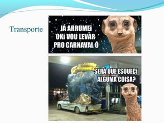 Transporte
 
