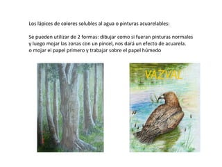 Los lápices de colores solubles al agua o pinturas acuarelables:

Se pueden utilizar de 2 formas: dibujar como si fueran pinturas normales
y luego mojar las zonas con un pincel, nos dará un efecto de acuarela.
o mojar el papel primero y trabajar sobre el papel húmedo
 