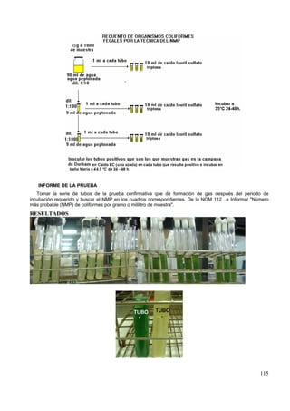 INFORME DE LA PRUEBA
   Tomar la serie de tubos de la prueba confirmativa que dé formación de gas después del periodo de
incubación requerido y buscar el NMP en los cuadros correspondientes. De la NOM 112 ..e Informar "Número
más probable (NMP) de coliformes por gramo o mililitro de muestra".
RESULTADOS




                                                                                                    115
 