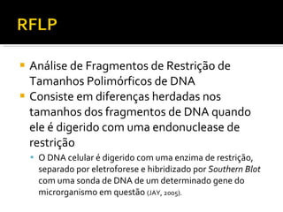 Análise de Fragmentos de Restrição de Tamanhos Polimórficos de DNA Consiste em diferenças herdadas nos tamanhos dos fragmentos de DNA quando ele é digerido com uma endonuclease de restrição O DNA celular é digerido com uma enzima de restrição, separado por eletroforese e hibridizado por  Southern Blot  com uma sonda de DNA de um determinado gene do microrganismo em questão  (JAY, 2005). 
