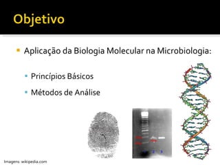 Aplicação da Biologia Molecular na Microbiologia: Princípios Básicos Métodos de Análise Imagens: wikipedia.com 