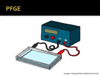 Imagem: http://pcrfilme.vilabol.uol.com.br/ 