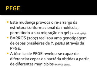 Esta mudança provoca o re-arranjo da estrutura conformacional da molécula, permitindo a sua migração no gel  (LAI et al, 1989) . BARROS (2007) realizou uma genotipagem de cepas brasileiras de  Y. pestis  através da PFGE. A técnica de PFGE revelou-se capaz de diferenciar cepas da bactéria obtidas a partir de diferentes municípios  BARROS (2007). 