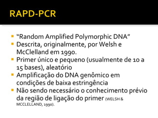 “ Random Amplified Polymorphic DNA” Descrita, originalmente, por Welsh e McClelland em 1990. Primer único e pequeno (usualmente de 10 a 15 bases), aleatório Amplificação do DNA genômico em condições de baixa estringência Não sendo necessário o conhecimento prévio da região de ligação do primer  (WELSH & MCCLELLAND, 1990).  