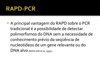 A principal vantagem do RAPD sobre o PCR tradicional é a possibilidade de detectar polimorfismos do DNA sem a necessidade de conhecimento prévio da seqüência de nucleotídeos de um gene relevante ou do DNA alvo  (MASLOW et al, 1993) .  