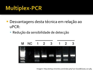 Desvantagens desta técnica em relação ao uPCR: Redução da sensibilidade de detecção Imagem: http://eshop.intronbio.com/index.php?var=Good&Good_no=385 