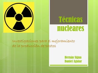 Técnicas
nucleares

Hernán Sigua
Daniel Aguiar

 