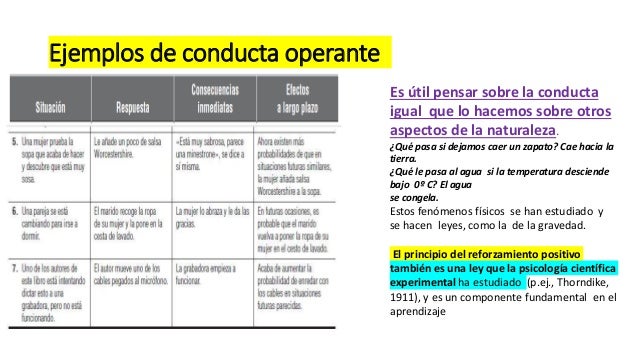 TECNICAS OPERANTES PDF TECNICAS OPERANTES PDF
