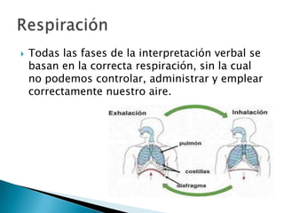    Todas las fases de la interpretación verbal se
    basan en la correcta respiración, sin la cual
    no podemos controlar, administrar y emplear
    correctamente nuestro aire.
 