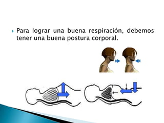    Para lograr una buena respiración, debemos
    tener una buena postura corporal.
 