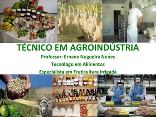 TÉCNICO EM AGROINDÚSTRIA
     Professor: Ernane Nogueira Nunes
         Tecnólogo em Alimentos
    Especialista em Fruticultura Irrigada
 
