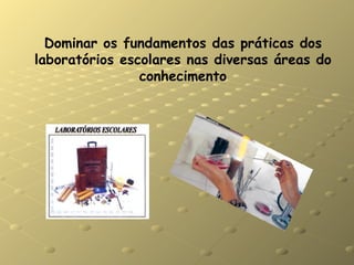 Dominar os fundamentos das práticas dos laboratórios escolares nas diversas áreas do conhecimento 