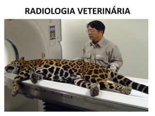 RADIOLOGIA VETERINÁRIA
 