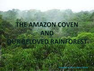 The Amazon Coven And Our beloved Rainforest Property of The Cullens Online 