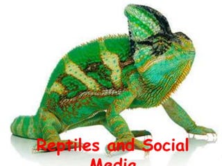 Reptiles and Social Media 