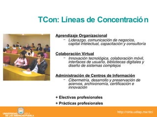 Aprendizaje Organizacional Liderazgo, comunicación de negocios,  capital intelectual, capacitación y consultoría Colaboración Virtual Innovación tecnológica, colaboración móvil, interfaces de usuario, bibliotecas digitales y  diseño de sistemas complejos Administración de Centros de Información Cibermetría, desarrollo y preservación de acervos, archivonomía, certificación e innovación + Electivas profesionales + Prácticas profesionales TCon: Líneas de Concentración 