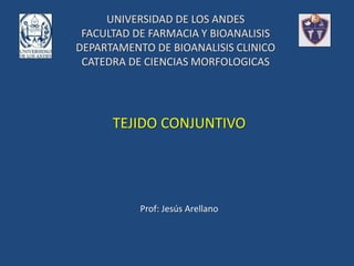 UNIVERSIDAD DE LOS ANDES
FACULTAD DE FARMACIA Y BIOANALISIS
DEPARTAMENTO DE BIOANALISIS CLINICO
CATEDRA DE CIENCIAS MORFOLOGICAS
TEJIDO CONJUNTIVO
Prof: Jesús Arellano
 