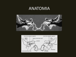 ANATOMIA
 