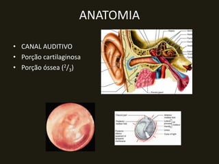 ANATOMIA

• CANAL AUDITIVO
• Porção cartilaginosa
• Porção óssea (2/3)
 