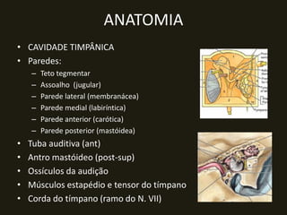 ANATOMIA
• CAVIDADE TIMPÂNICA
• Paredes:
    –   Teto tegmentar
    –   Assoalho (jugular)
    –   Parede lateral (membranácea)
    –   Parede medial (labiríntica)
    –   Parede anterior (carótica)
    –   Parede posterior (mastóidea)
•   Tuba auditiva (ant)
•   Antro mastóideo (post-sup)
•   Ossículos da audição
•   Músculos estapédio e tensor do tímpano
•   Corda do tímpano (ramo do N. VII)
 