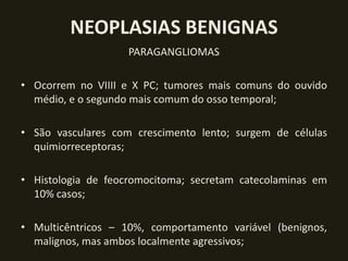 NEOPLASIAS BENIGNAS
                    PARAGANGLIOMAS

• Ocorrem no VIIII e X PC; tumores mais comuns do ouvido
  médio, e o segundo mais comum do osso temporal;

• São vasculares com crescimento lento; surgem de células
  quimiorreceptoras;

• Histologia de feocromocitoma; secretam catecolaminas em
  10% casos;

• Multicêntricos – 10%, comportamento variável (benignos,
  malignos, mas ambos localmente agressivos;
 