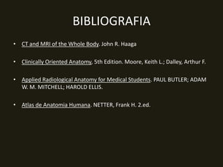 BIBLIOGRAFIA
• CT and MRI of the Whole Body. John R. Haaga

• Clinically Oriented Anatomy, 5th Edition. Moore, Keith L.; Dalley, Arthur F.

• Applied Radiological Anatomy for Medical Students. PAUL BUTLER; ADAM
  W. M. MITCHELL; HAROLD ELLIS.

• Atlas de Anatomia Humana. NETTER, Frank H. 2.ed.
 