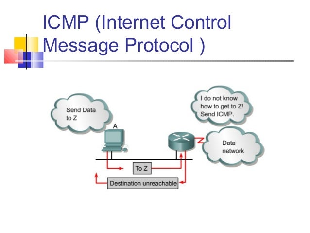 TCP IP         TCP IP