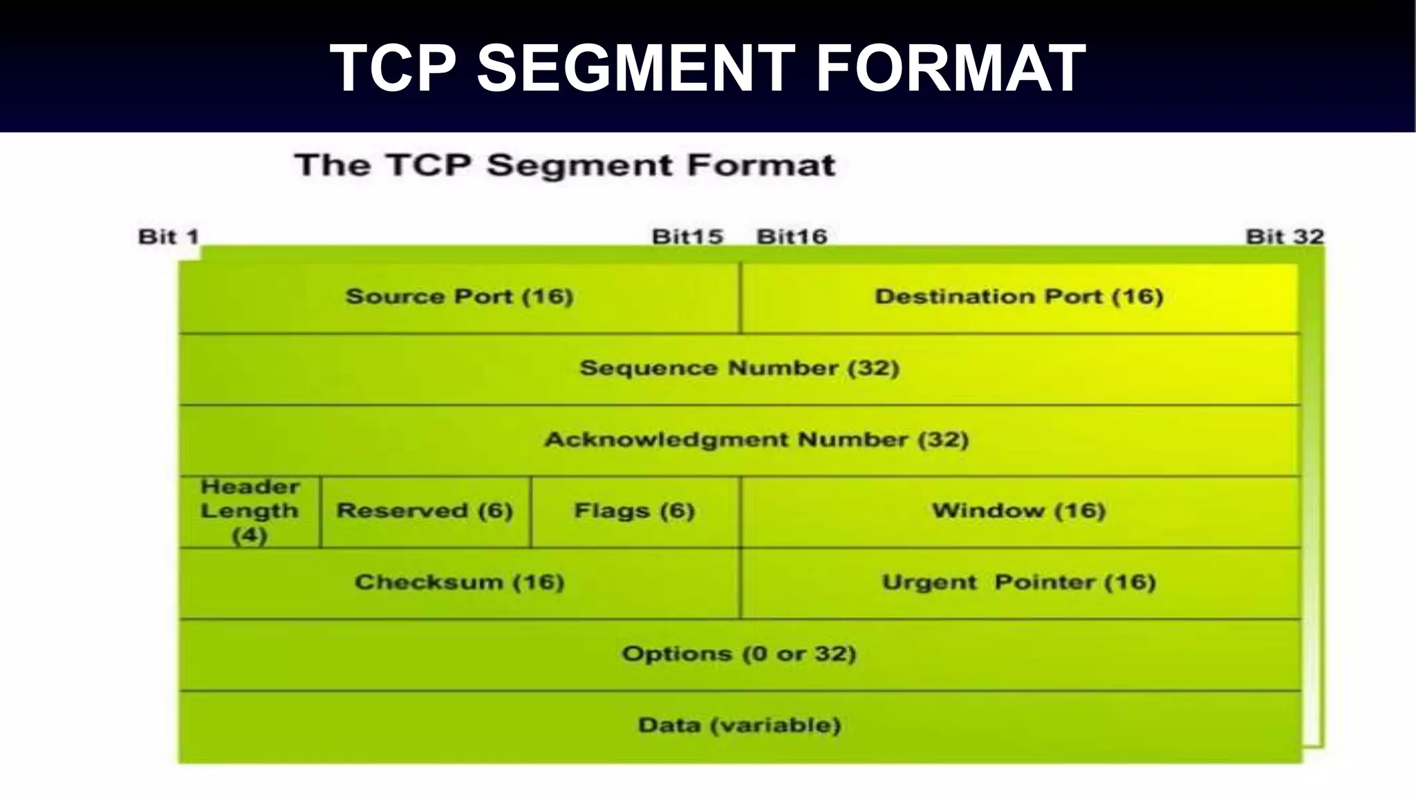 TCP SEGMENT FORMAT
 