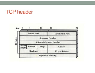 TCP header
 