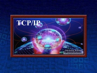 TCP/IP
 
