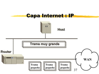 37
Trama muy grandeTrama muy grande
HostHost
RouterRouter
Capa Internet : IPCapa Internet : IP
WANWAN
Trama
pequeña
Trama
pequeña
Trama
pequeña
 