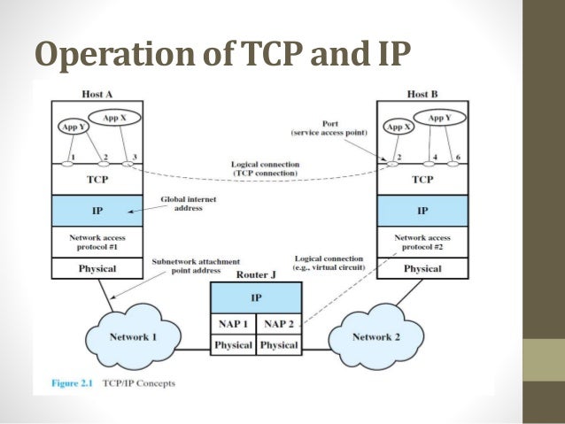 TCP/IP Protocols