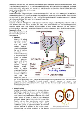 TCP- U 3 Rice.pdf